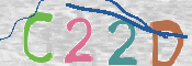 CAPTCHA 验证图片