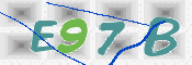 CAPTCHA 验证图片