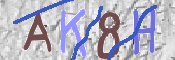 CAPTCHA 驗證圖片