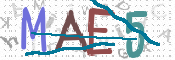 CAPTCHA 验证图片