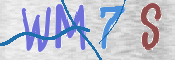 CAPTCHA 验证图片