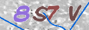 CAPTCHA 验证图片