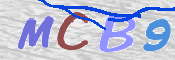 CAPTCHA 验证图片