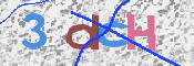 CAPTCHA 验证图片