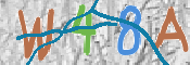 CAPTCHA 验证图片