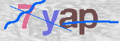 CAPTCHA 验证图片