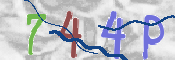 CAPTCHA 驗證圖片