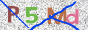 CAPTCHA 验证图片
