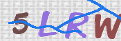 CAPTCHA 验证图片