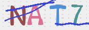 CAPTCHA 驗證圖片