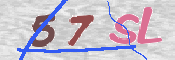 CAPTCHA 验证图片