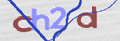 CAPTCHA 验证图片