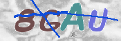 CAPTCHA 验证图片