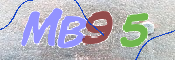 CAPTCHA 验证图片