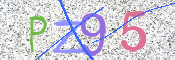 CAPTCHA 驗證圖片