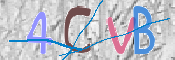 CAPTCHA 验证图片