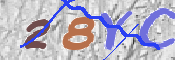 CAPTCHA 驗證圖片