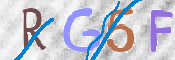 CAPTCHA 验证图片