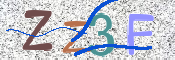 CAPTCHA 驗證圖片