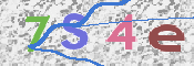 CAPTCHA 验证图片