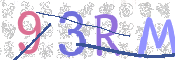 CAPTCHA 驗證圖片