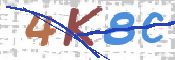 CAPTCHA 验证图片