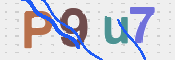 CAPTCHA 验证图片