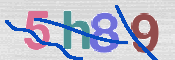 CAPTCHA 驗證圖片