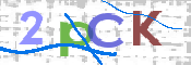 CAPTCHA 验证图片