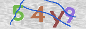 CAPTCHA 驗證圖片