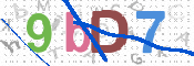 CAPTCHA 驗證圖片