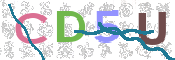 CAPTCHA 验证图片