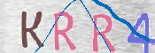 CAPTCHA 验证图片
