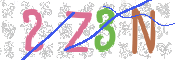 CAPTCHA 验证图片