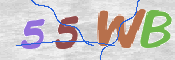 CAPTCHA 验证图片