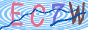 CAPTCHA 验证图片