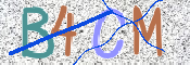 CAPTCHA 验证图片