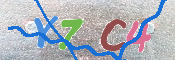 CAPTCHA 驗證圖片