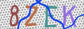 CAPTCHA 驗證圖片