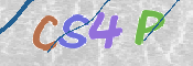 CAPTCHA 验证图片