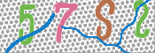 CAPTCHA 验证图片