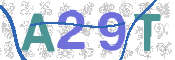 CAPTCHA 验证图片