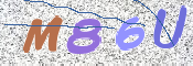 CAPTCHA 验证图片