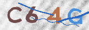 CAPTCHA 验证图片