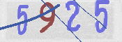 CAPTCHA 验证图片
