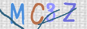 CAPTCHA 验证图片