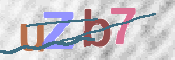 CAPTCHA 验证图片