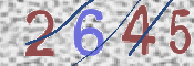 CAPTCHA 验证图片