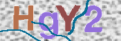 CAPTCHA 验证图片