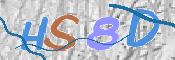 CAPTCHA 验证图片